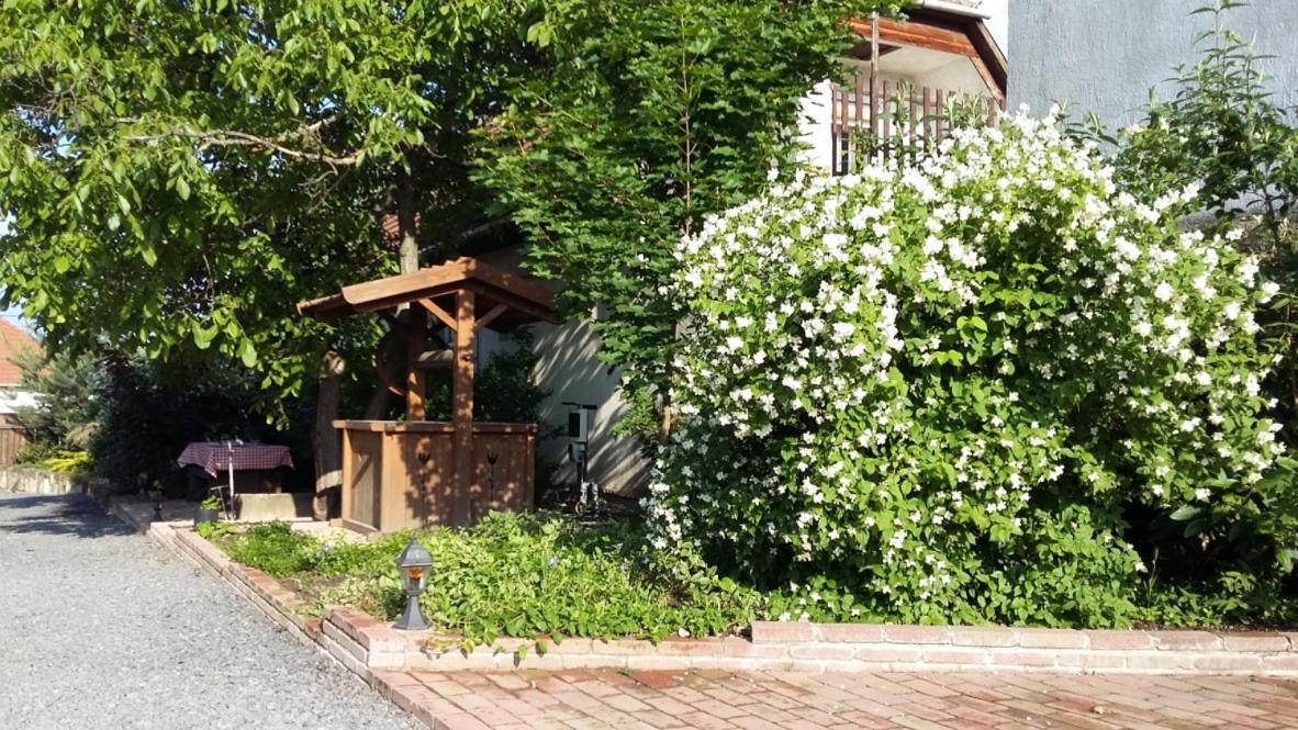 Cziróka Vendégház Tolcsva Exterior foto
