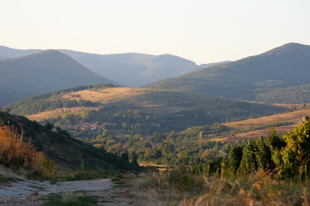 Cziróka Vendégház Tolcsva Exterior foto